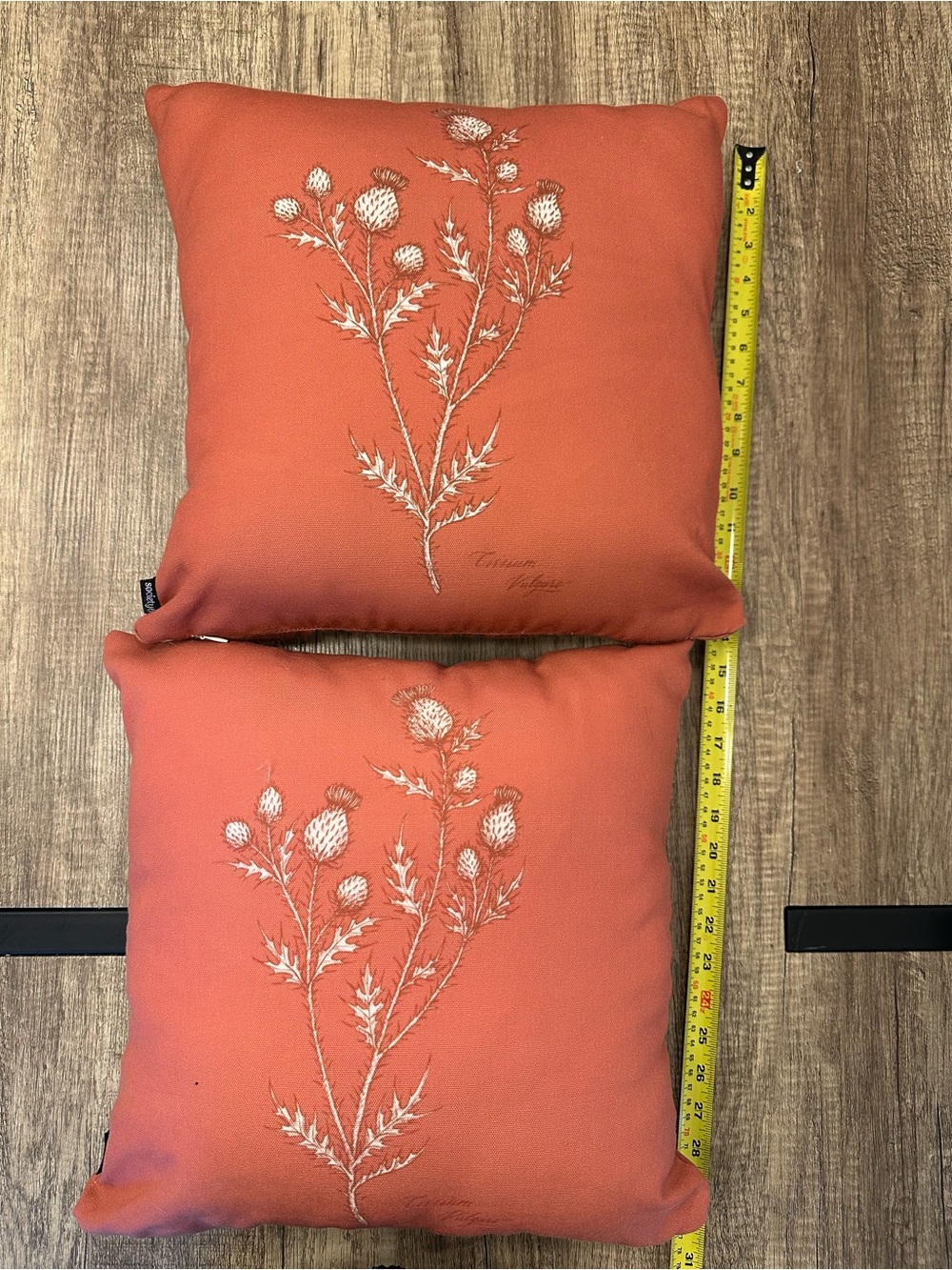 2x Fall Sunbrella Fabric Society 6 Custom Print Pillow Botanical Orange Neutral